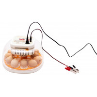 Household incubator for 12 eggs with dual power supply ALB-G214141