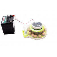 Household incubator for 18 eggs with dual power supply ALB-G214142