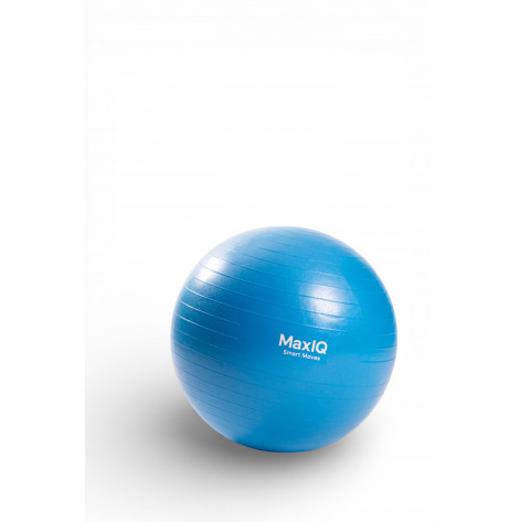 Купити Балансовий м'яч-тренажер (фітбол), діаметр 75 см MaxIQ-MD1225 (MaxIQ-MD1225-75). Зображення №1