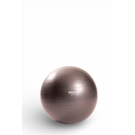 Купити Балансовий м'яч-тренажер (фітбол) діаметр 85 см MaxIQ-MD1225 (MaxIQ-MD1225-85). Зображення №1