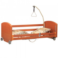 Electric functional bed 