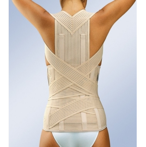 LT-330R / 1 Reinforced orthosis for the thoracic, lumbar and sacral spine (p.XXS)