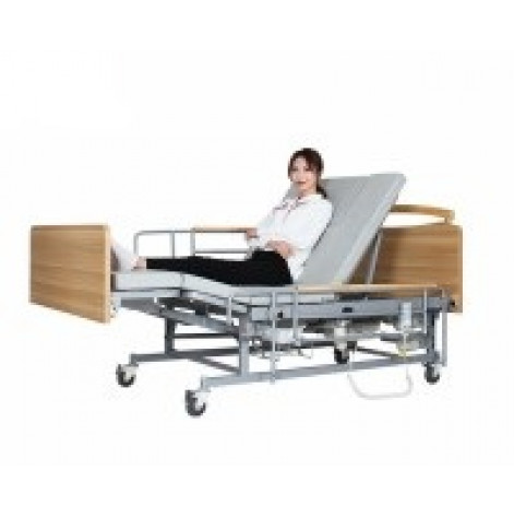 Medical electric bed with toilet E04. Functional bed for the disabled.